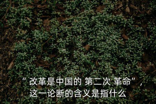 “ 改革是中國的 第二次 革命”,這一論斷的含義是指什么