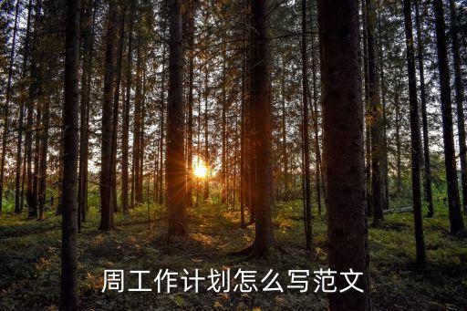 周工作計(jì)劃表模板，周工作計(jì)劃表格