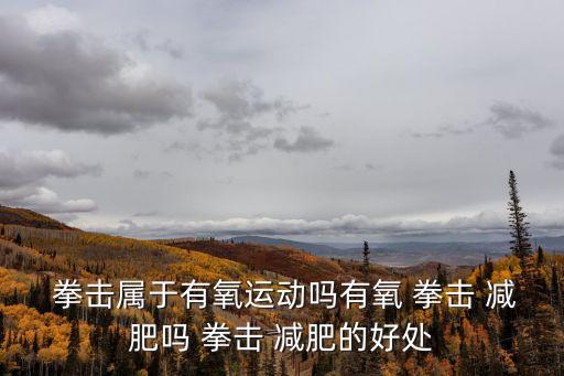  拳擊屬于有氧運動嗎有氧 拳擊 減肥嗎 拳擊 減肥的好處