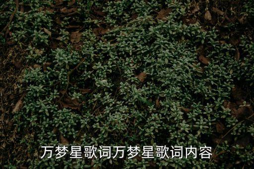 萬(wàn)里晴川,第二集:空川萬(wàn)里是習(xí)語(yǔ)不是愛(ài)語(yǔ)