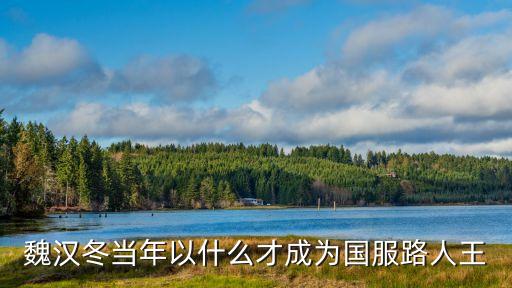 魏漢冬當(dāng)年以什么才成為國服路人王