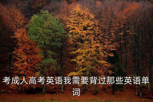 成人高考英語單詞，考成人高考英語我需要背過那些英語單詞