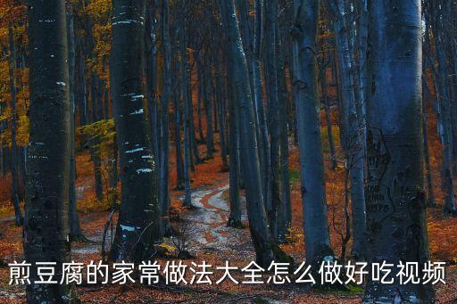 煎豆腐的家常做法大全怎么做好吃視頻