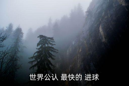 世界公認(rèn) 最快的 進(jìn)球