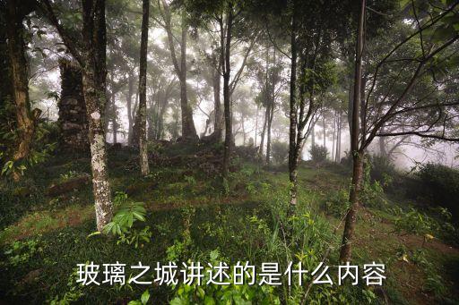  玻璃之城講述的是什么內(nèi)容
