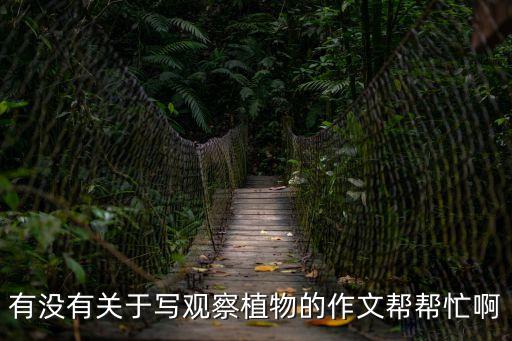 有沒有關于寫觀察植物的作文幫幫忙啊