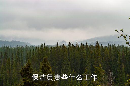 保潔負責些什么工作