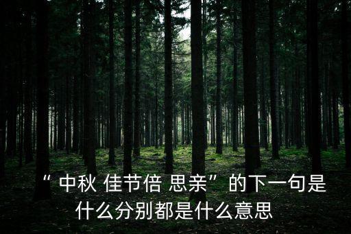 中秋佳節倍思親,每一次佳節來臨我都會思念親人