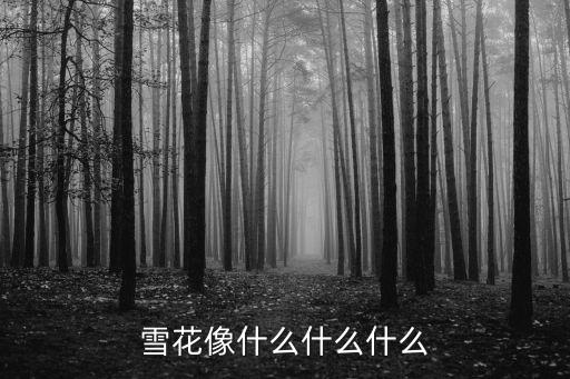 雪花像什么什么什么
