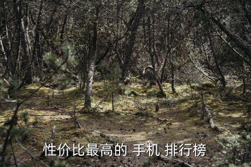 排行手機,最新手機是新發布的vivox80系列