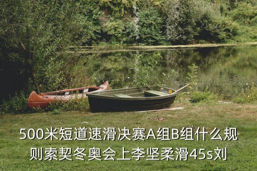 500米短道速滑決賽A組B組什么規(guī)則索契冬奧會上李堅(jiān)柔滑45s劉