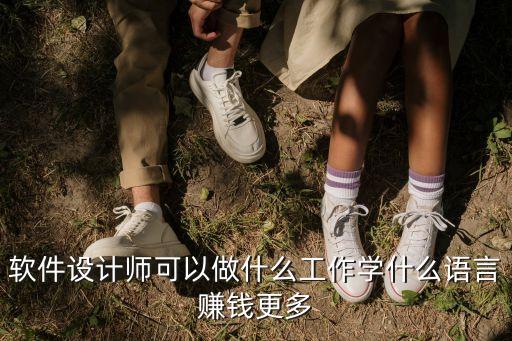 軟件設計師可以做什么工作學什么語言賺錢更多