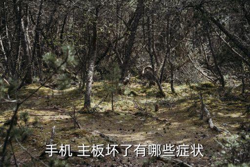 主板壞了有什么癥狀,主板電容器爆漿是最常見故障主板