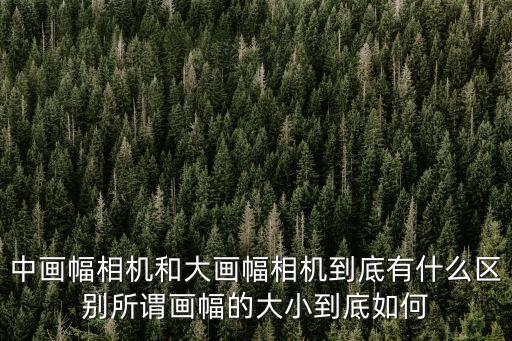 中畫幅相機和大畫幅相機到底有什么區別所謂畫幅的大小到底如何