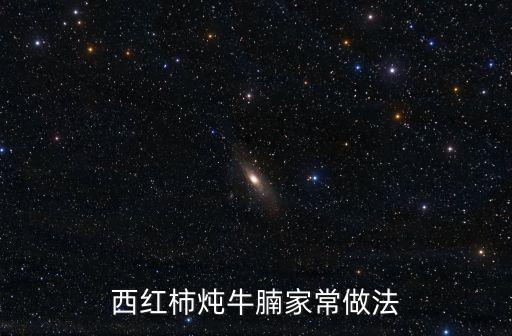 西紅柿牛腩怎么做，西紅柿燉牛腩家常做法