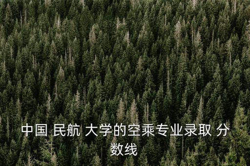 中國 民航 大學的空乘專業(yè)錄取 分數(shù)線