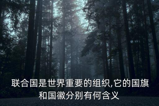  聯合國是世界重要的組織,它的國旗和國徽分別有何含義