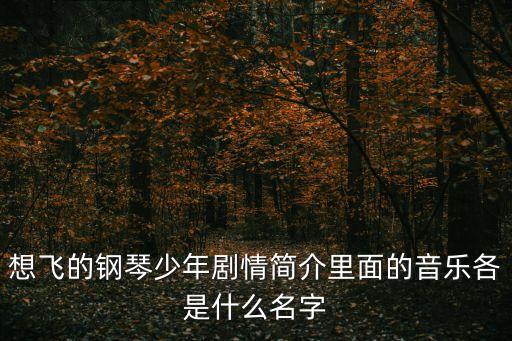 想飛的鋼琴少年劇情簡(jiǎn)介里面的音樂各是什么名字
