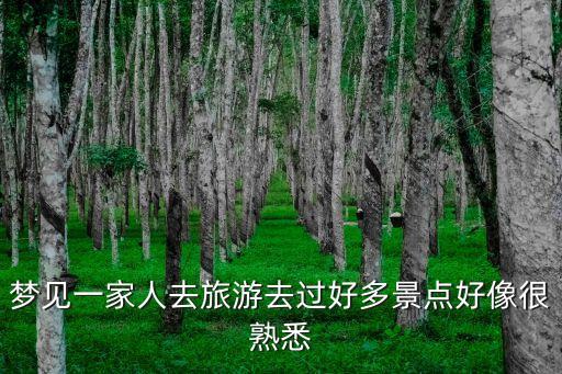 夢見一家人去旅游，夢見一家人去旅游去過好多景點好像很熟悉