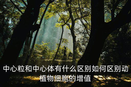 中心粒，中心體中心粒