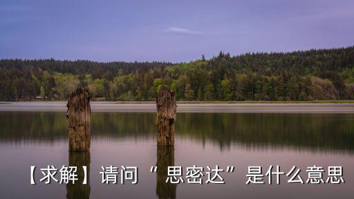 思密達什么意思,哇，你好漂亮思密達是真丑?
