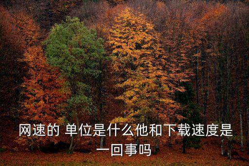  網速的 單位是什么他和下載速度是一回事嗎