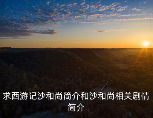 沙和尚簡介，沙和尚簡介一下10字