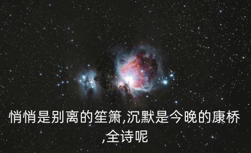 悄悄是別離的笙簫,沉默是今晚的康橋,全詩呢