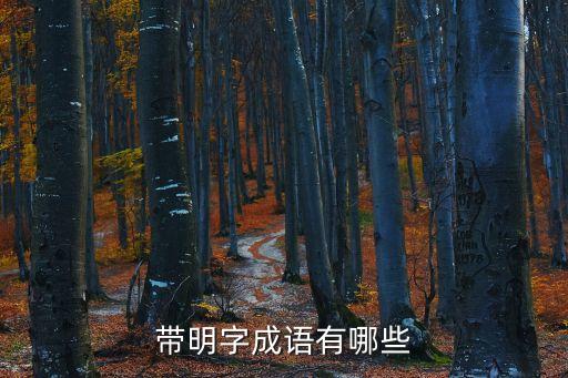 帶明字成語有哪些