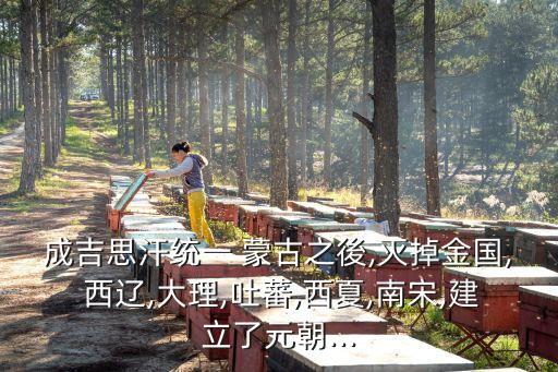 蒙古滅西遼,遼朝分裂出一個(gè)北遼政權(quán)