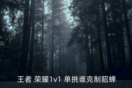  王者 榮耀1v1 單挑誰克制貂蟬