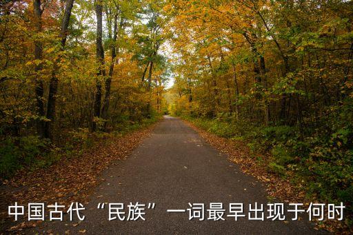 王九州,最早文獻(xiàn)是民族一詞出自東晉道士張歡著《易夏倫》一書(shū)