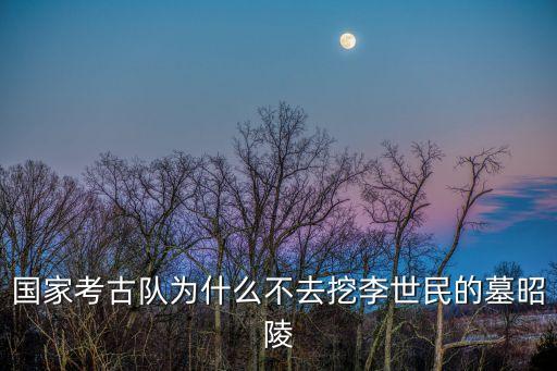 唐太宗墓,唐代帝王陵墓被盜唐太宗昭陵是最大陵墓