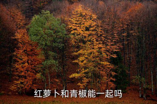 紅蘿卜和青椒能一起嗎