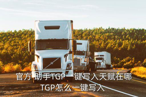 tgp官方助手,如何使用chkdsk工具進行游戲掃描?