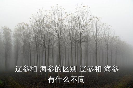 遼參和海參的區(qū)別,遼參和山東海參之別