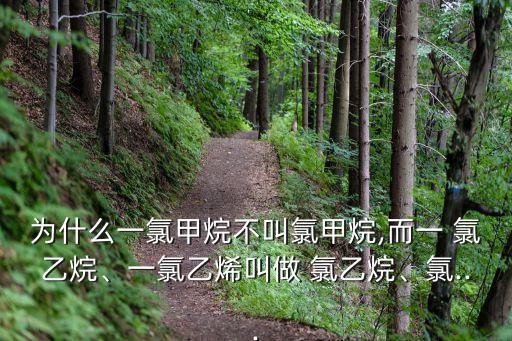 為什么一氯甲烷不叫氯甲烷,而一 氯乙烷、一氯乙烯叫做 氯乙烷、氯...
