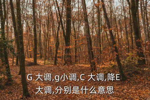 G大調,什么是e小調?