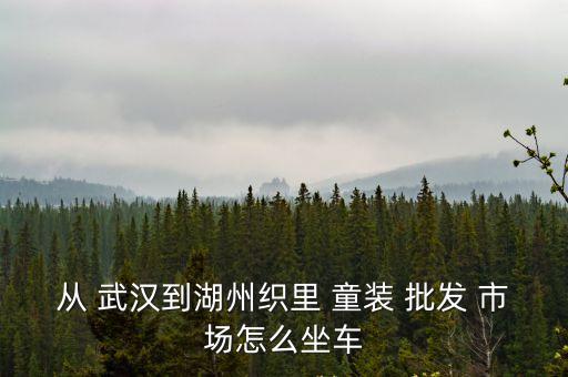 從 武漢到湖州織里 童裝 批發 市場怎么坐車