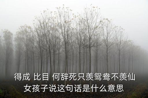  得成 比目 何辭死只羨鴛鴦不羨仙女孩子說這句話是什么意思