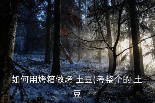 芝士烤土豆,秘制土豆燒烤盤裝兩分鐘即可食用