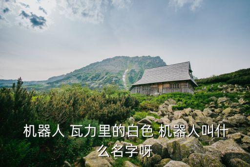 機器人瓦力,機器人拉力與夏娃相遇