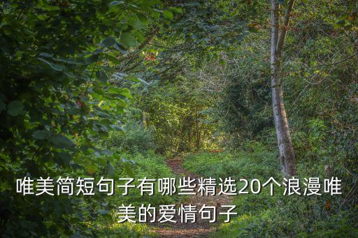 唯美簡短句子有哪些精選20個浪漫唯美的愛情句子