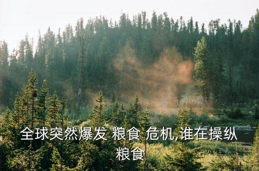 全球突然爆發(fā) 糧食 危機(jī),誰在操縱 糧食