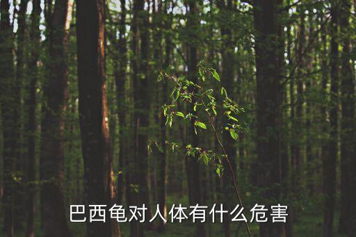 巴西龜?shù)奈：Γ臀骷t耳龜對人的危害