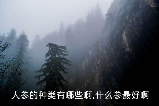  人參的種類有哪些啊,什么參最好啊