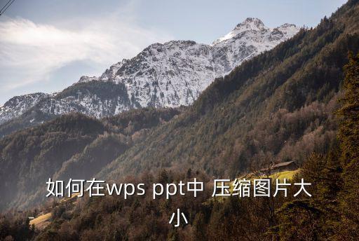 如何在wps ppt中 壓縮圖片大小