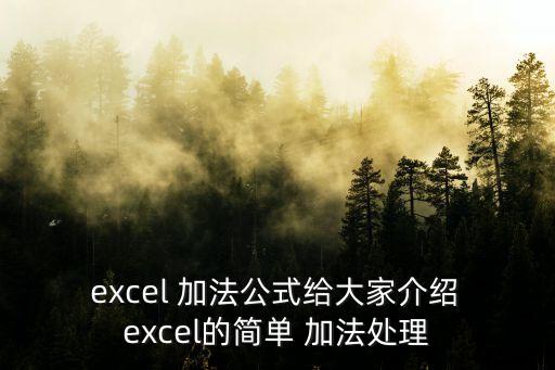  excel 加法公式給大家介紹 excel的簡單 加法處理