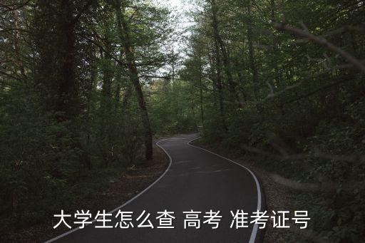 高考準考證號查詢,to準考證號首次登錄可查詢to考生資料