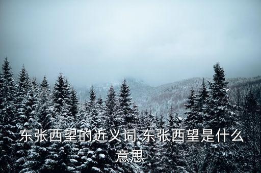 東張西望,東張西望中國習語